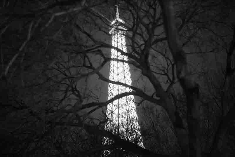 Black and white night photograph of the illuminated Eiffel Tower in Paris, partially obscured by the dark, silhouette-like branches of bare trees in the foreground.