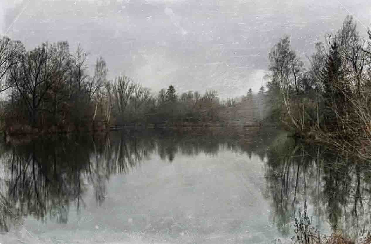 A tranquil lake with trees on a foggy day, evoking a sense of calm and mystery in the natural landscape.